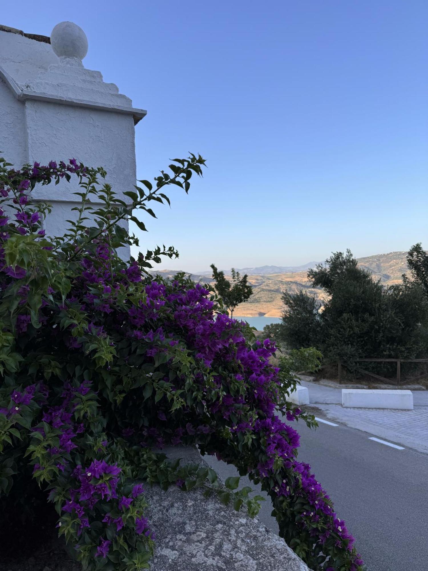 Finca Luca Oliva Zahara De La Sierra Eksteriør bilde