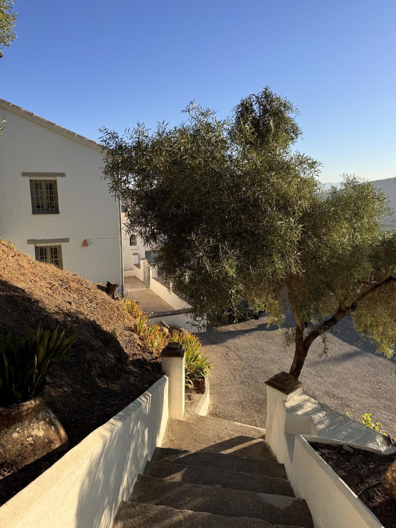 Finca Luca Oliva Zahara De La Sierra Eksteriør bilde