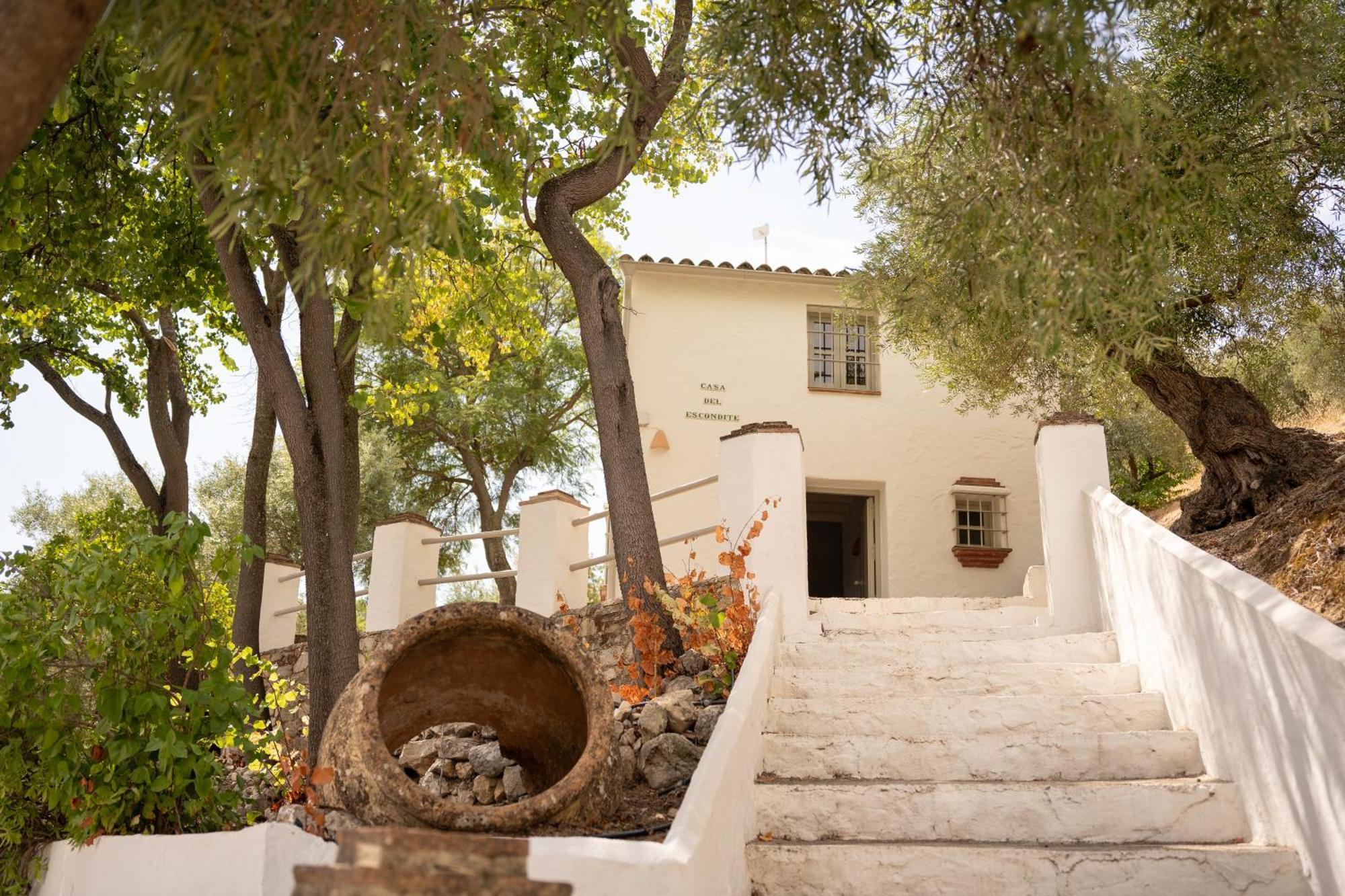Finca Luca Oliva Zahara De La Sierra Eksteriør bilde